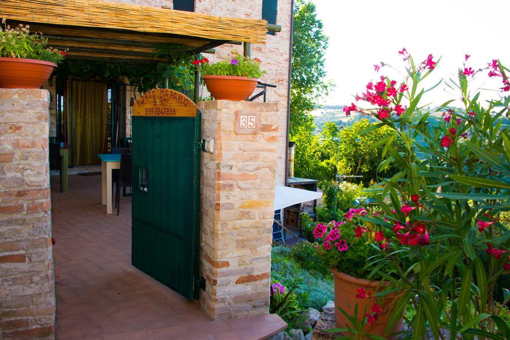 B&B Borgo Marano Купра-Мариттіма Екстер'єр фото