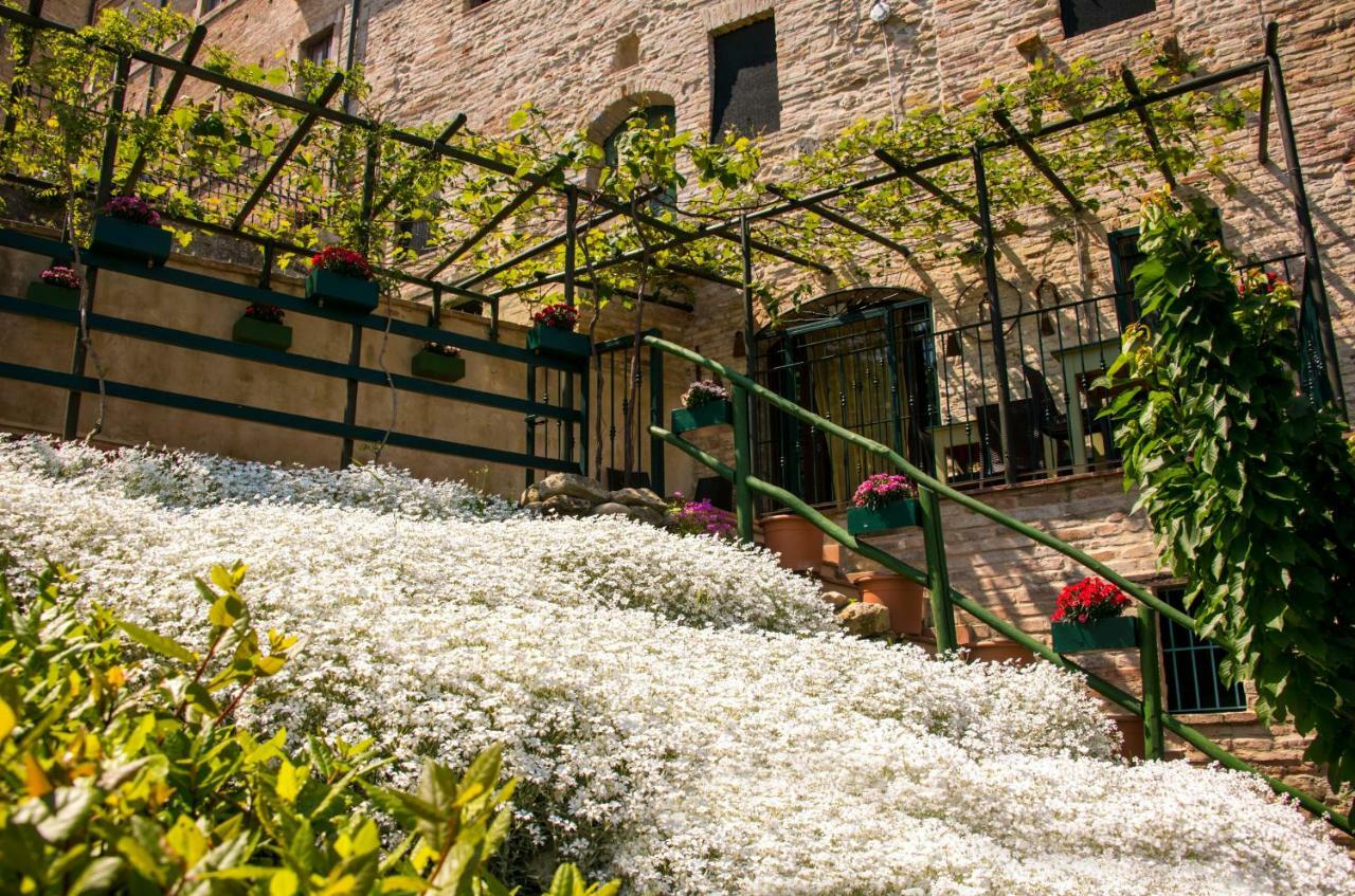 B&B Borgo Marano Купра-Мариттіма Екстер'єр фото